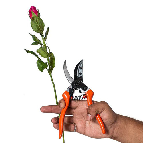VAPS 015 Cut And Hold Pruning Secateur For Rose Pruning