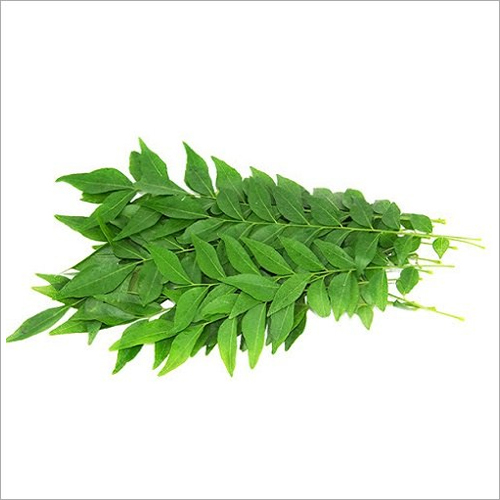 Optimal Quality Curry Leaves