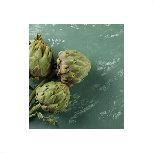Fresh Boswellia Supplier In India Fresh Fenugreek Exporter