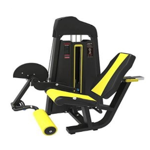 Leg Extension