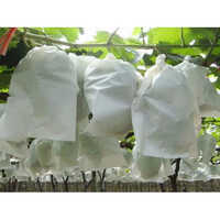 Non Woven Fruit Cover - Feature: Light In Weight