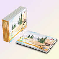 Drawing Book - Binding: Paperback