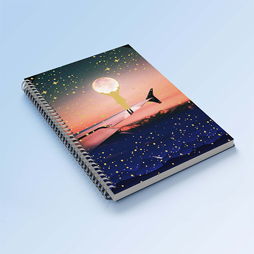 A4 Transparent Notebook