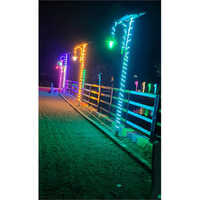 Decorative Fancy Light Pol