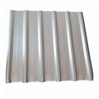 Silver BGL Roofing Sheet