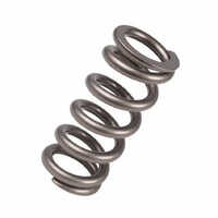 Inconel Wire Spring - Color: Sliver