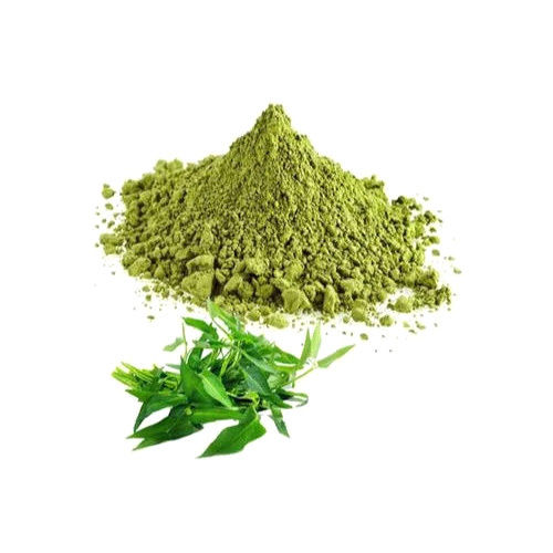 Curry Leaves Powder