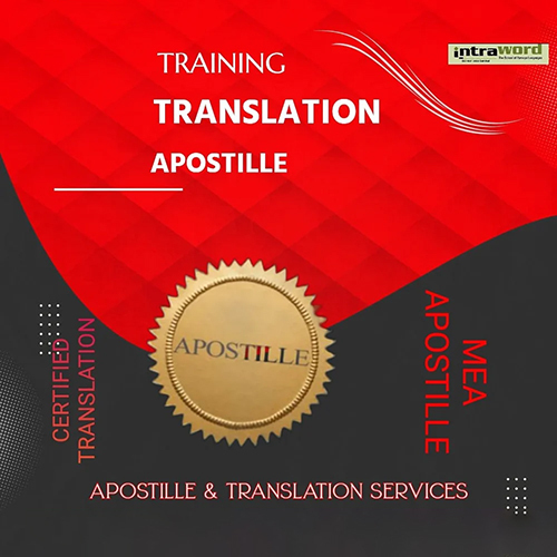 Chinese Translator Service