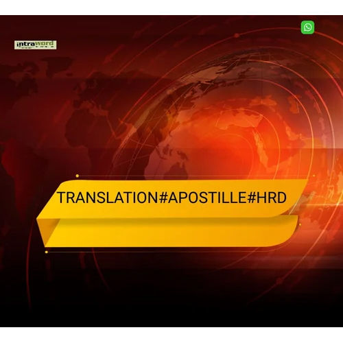 French Translator Service