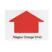 Nagpur Orange Paste