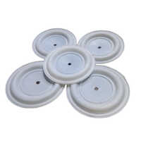 Grey Ptfe Coated Rubber Diaphragm