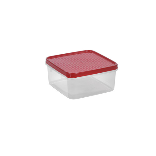 Shallow Square Food Container - 1000 Ml at Best Price in Mumbai ...