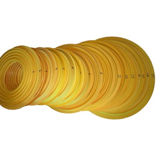 Yellow Speaker Spider