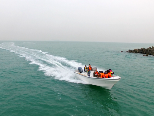 Liya fiberglass boat 6.6m panga fishing boat with T-Top