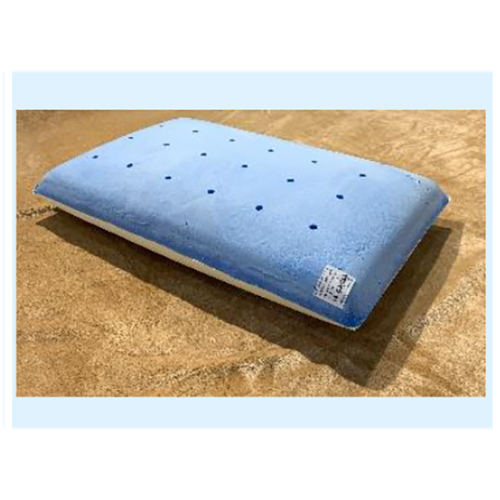 Blue Dual Sided Pillow Co