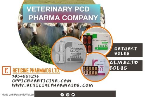 VETERINARY PCD PHARMA COMPANY