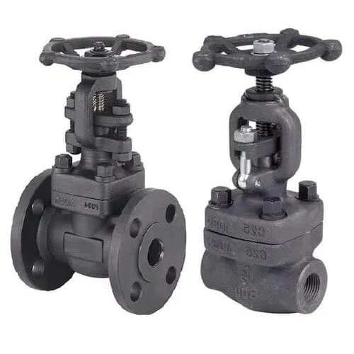 Forged Steel Gate Valve Manufacturer in India