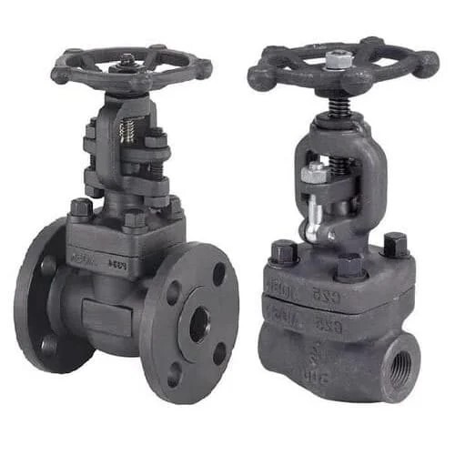 Industrial Forged Steel Gate Valve