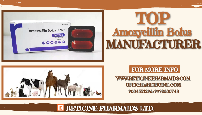VETERINARY INJECTION MANUFACTURERS IN INDIA