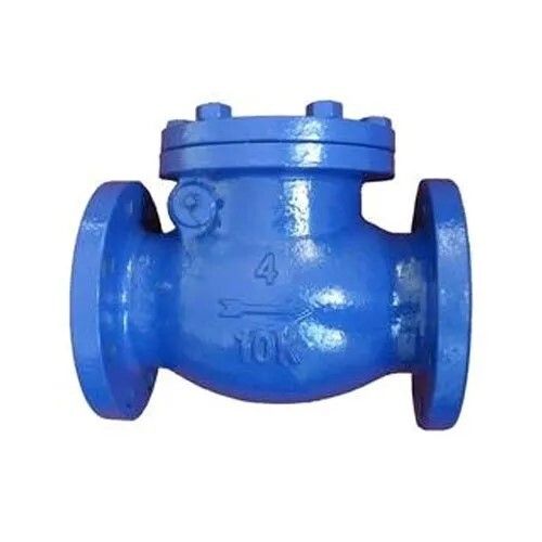 Swing Check Valve Manufacturer in India