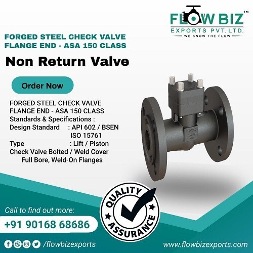 Lift Check Valve Manufacturer in India | Industrial NRV Valves