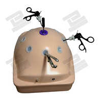240V AC 60Hz 450x190x295mm Endo Trainer