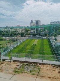 Box Cricket - Color: Green