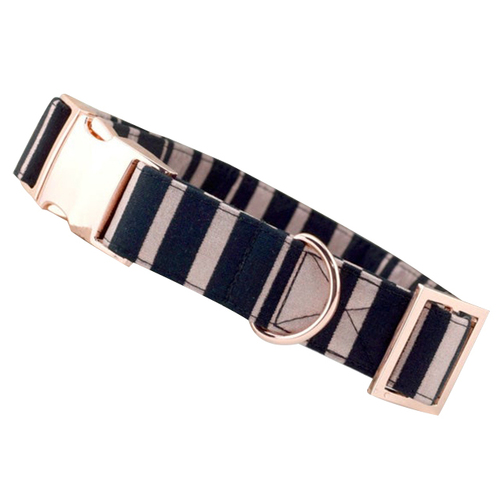 Rose With Gold Striped Dog Collar