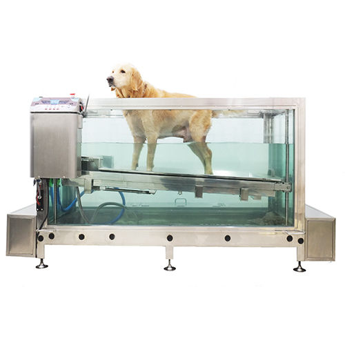 Veterinary Water Treadmill