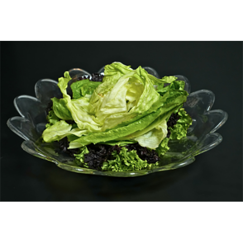 Salad Platter 102