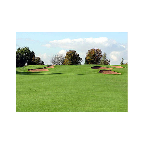 Golf Court Services