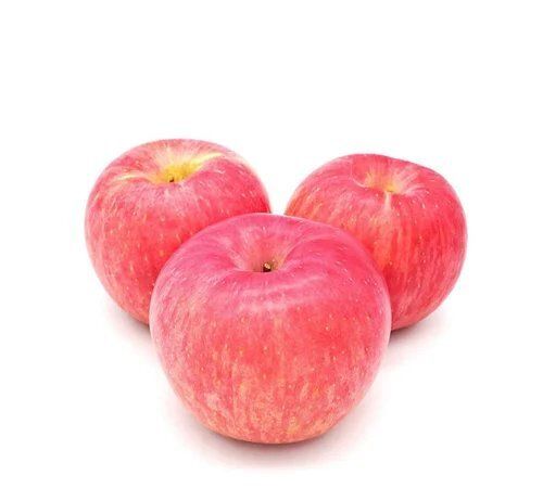 Common Red Fuji Apple