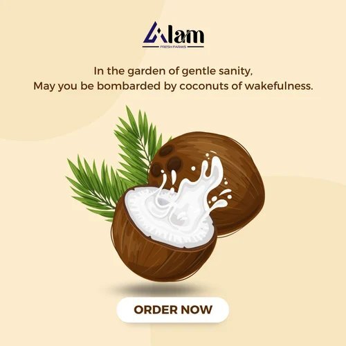 Fully Husked Coconut