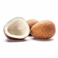 Common Coconut Edible Copra