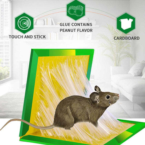 GREEN MICE GLUE TRAPS (1PC) (0204)