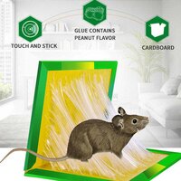GREEN MICE GLUE TRAPS (1PC) (0204)