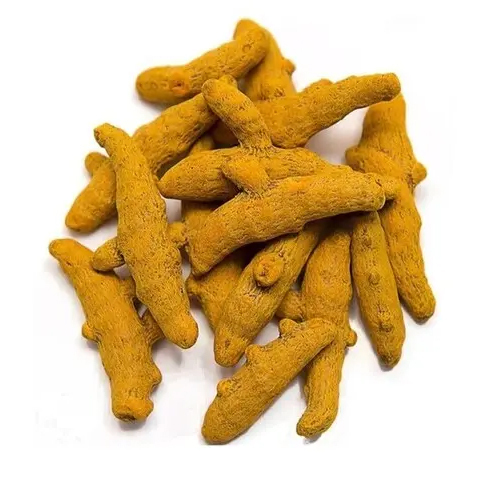Dried Turmeric Finger