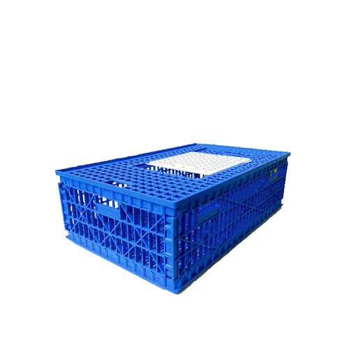 Plastic Bird Transportation Cage