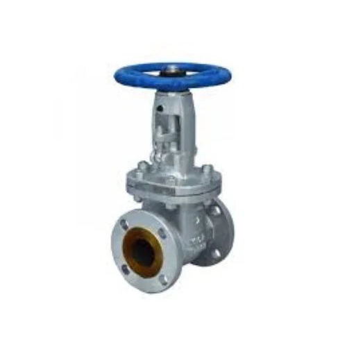 Silver Gate Valve Class 600