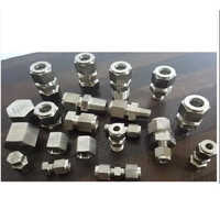 STAINLESS STEEL FERRULE FITTINGS