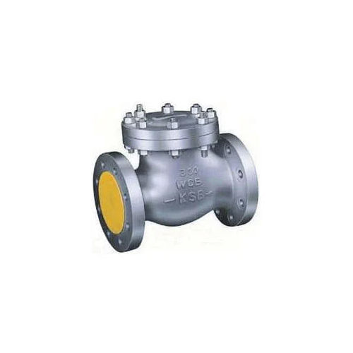 Cast Steel Check Valves - Color: Any Color