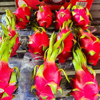 Dragon Fruit