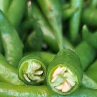Green Chilli