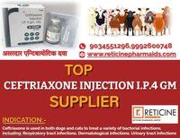 TOP VETERINARY PCD COMPANY IN YAMUNANAGAR