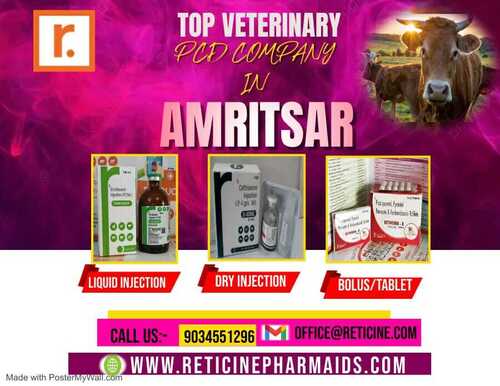 TOP VETERINARY PCD COMPANY IN AMRITSAR