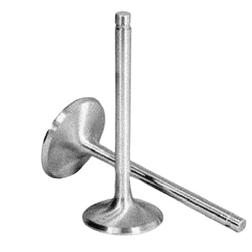 Silver Two Wheeler Engine Valve