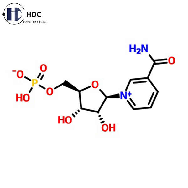 Nicotinamide Mononucleotide NMN