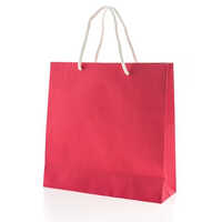 Paper Carry Bag