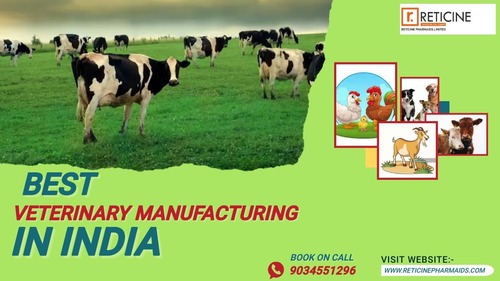 BEST VETERINARY MANUFACTURING IN INDIA