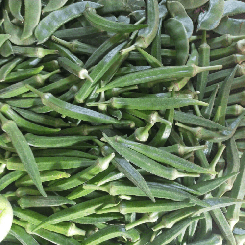 Fresh Okra